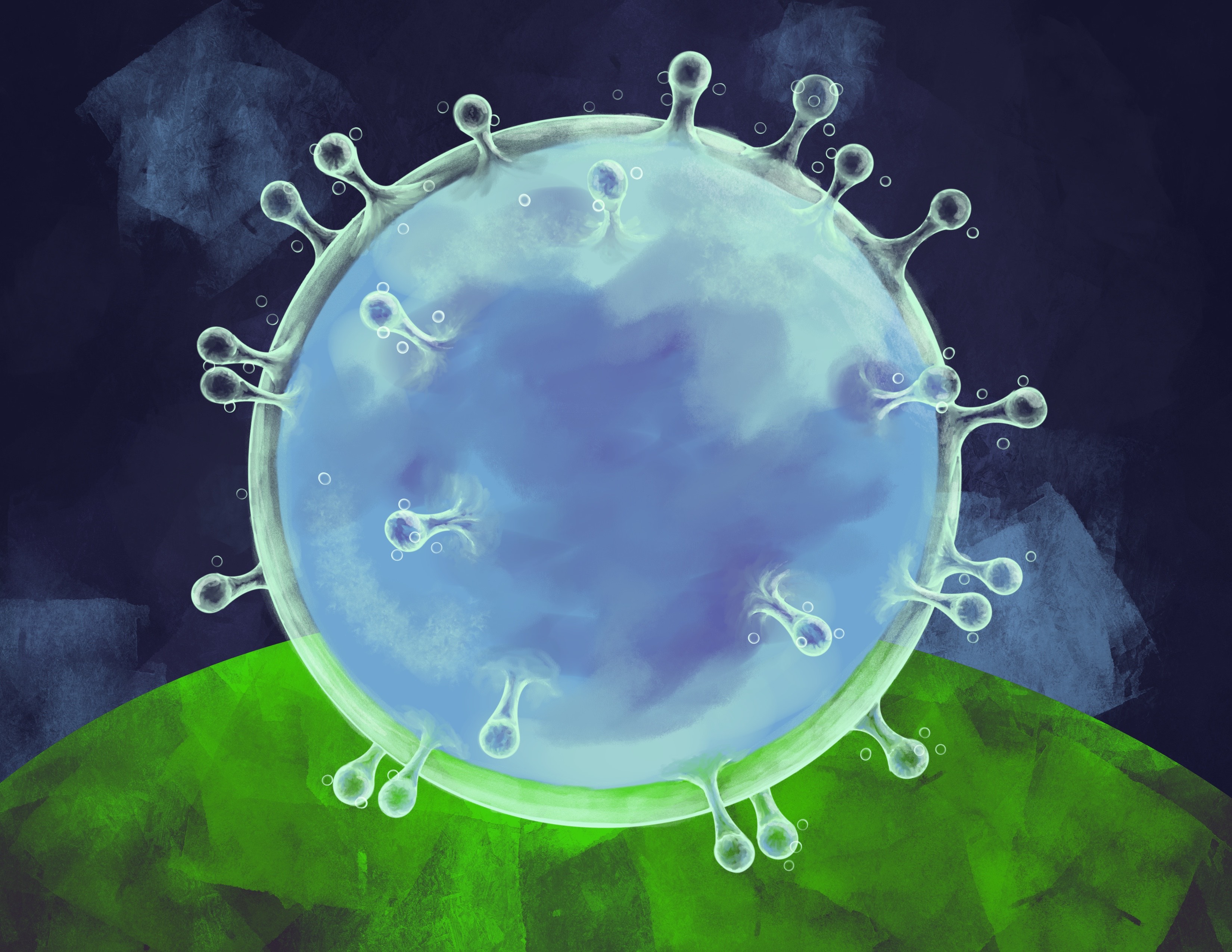 Artist’s impression: SARS‑CoV‑2 Based on micrographs of SARS and MERS coronaviruses Image credit: Chloe Parker